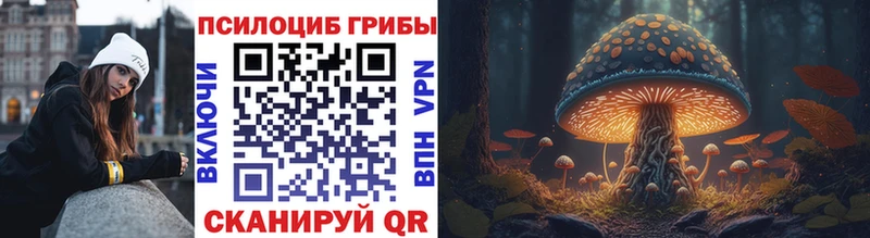 как найти закладки  Красногорск  Псилоцибиновые грибы Psilocybe 